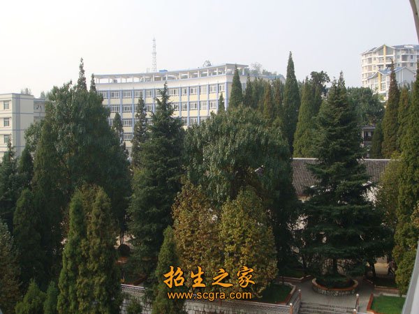 學(xué)校風(fēng)景