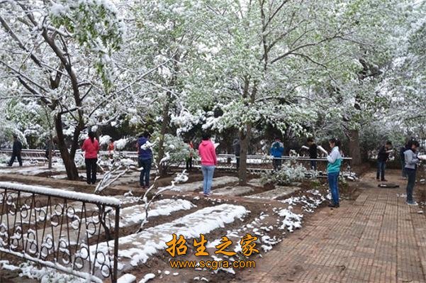 校園雪景