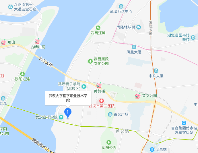 武漢大學醫(yī)學職業(yè)技術(shù)學院2020年地址在哪里