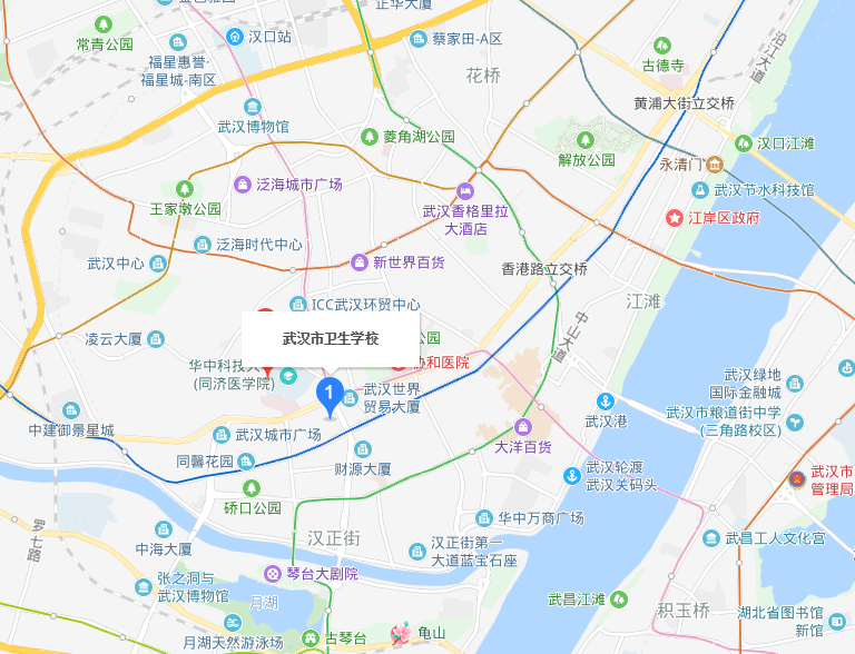 武漢市衛(wèi)生學(xué)校2020年地址在哪里