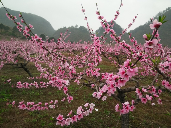 2024年畢業(yè)到黔南民族職業(yè)技術(shù)學(xué)院讀書怎么樣